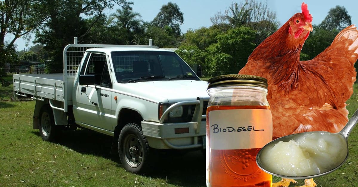 biodiesel in mitsubishi