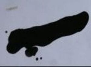 Black engine oil causing excessive engine wear 