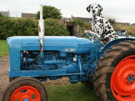 Fordson Major Tractor, Tractor spits oil from the exhaust