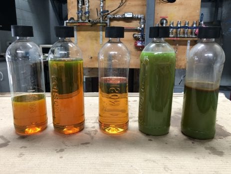 Corrosion and sludge flushed from radiators