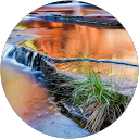 Brad Ivey profile picture